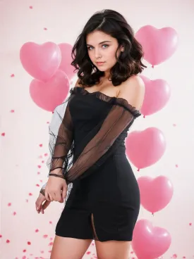 Black Net Sleeve Lycra Mini Dress